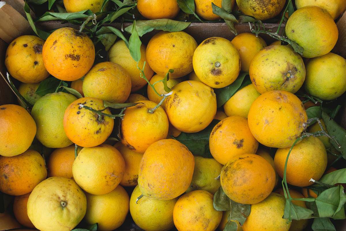 citrus fruit bunch of yellow fruits fruit